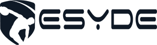 CV Esyde